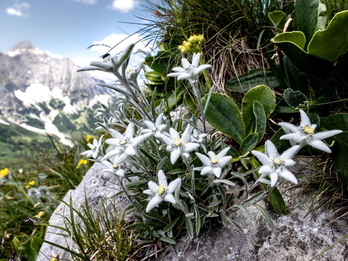 Das Naturhotel Die Eng Hinterriß Kültér fotó